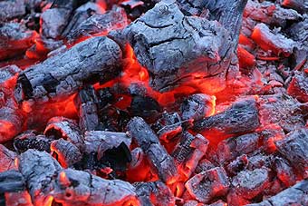 charbon de bois